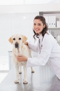 Happy vet examining a cute dog in medical office