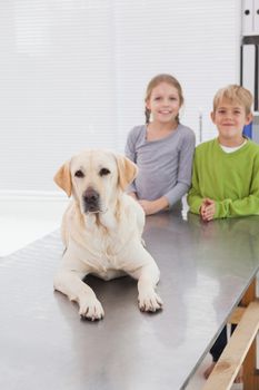 Cute labrador with its happy owners in medical office
