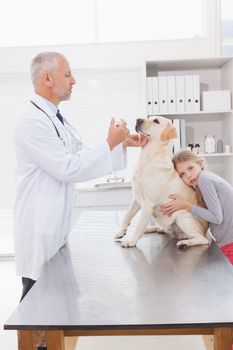 Vet examining a dog with its anxious owner in medical office
