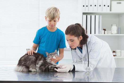 Vet examining a cat with its owner in medical office 