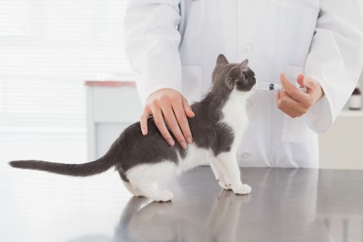 Vet doing injection at a cute kitten in medical office