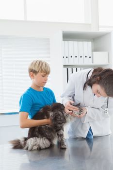 Vet examining a cat with its owner in medical office 