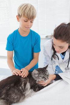 Vet petting a cat with its owner in medical office