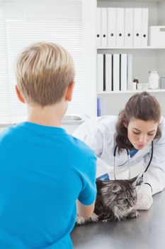 Vet examining a cat with its owner in medical office 