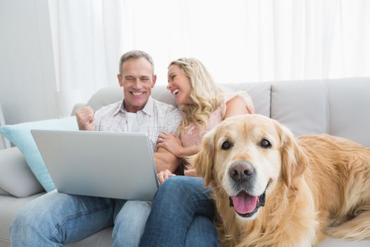 Couple using laptop and spending time with their dog at home in the living room