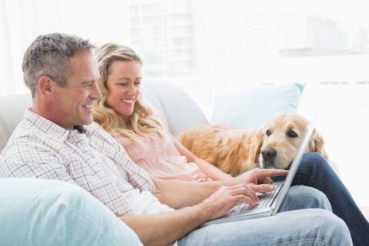 Couple using laptop and spending time with their dog at home in the living room