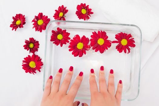 Womans hands after a manicure and polish at the beauty salon