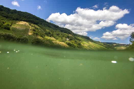 Half submerged picture of the moselle river and its landscape during a summer day.