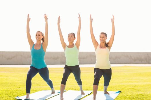 Smiling sporty women doing yoga together in parkland