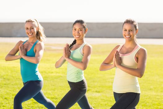 Portrait of smiling sporty women doing yoga together in parkland