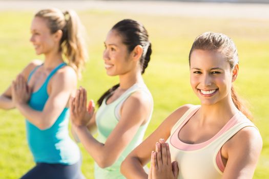 Portrait of smiling sporty women doing yoga together in parkland