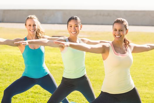 Portrait of smiling sporty women doing yoga together in parkland