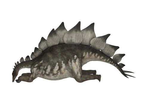 3D digital render of a dinosaur stegosaurus resting isolated on white background