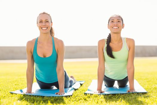 Portrait of smiling sporty women doing yoga on exercise mats in parkland