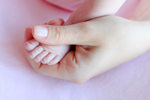 Parent hand hold baby girl legs