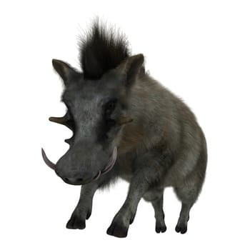 3D digital render of a wild warthog jumping isolated on white background