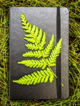 Taking notes in the nature conceptualisation, closed black notebook lying on a grass with a green fern leaf attached