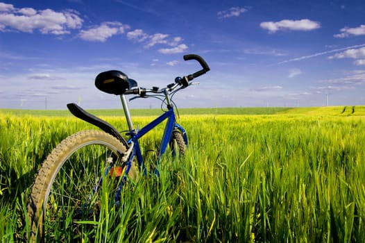 Travel conceptual image. Bike in green summer field.