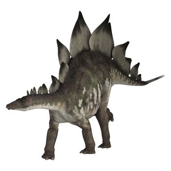 3D digital render of a dinosaur stegosaurus isolated on white background