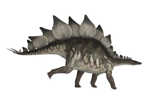 3D digital render of a dinosaur stegosaurus isolated on white background