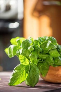 Fresh organic basil leaves on a wooden table