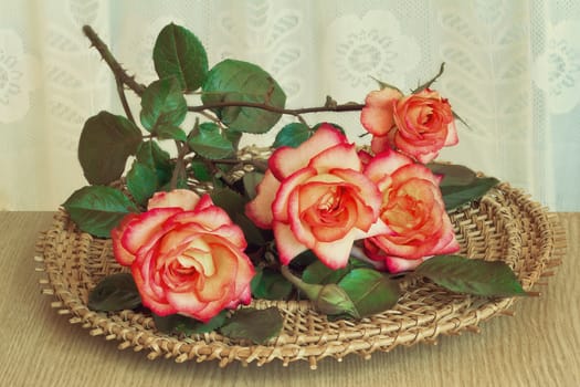 Some beautiful yellow and red roses on a wicker platter are on the table surface.Presented on the background of a window, draped tulle.