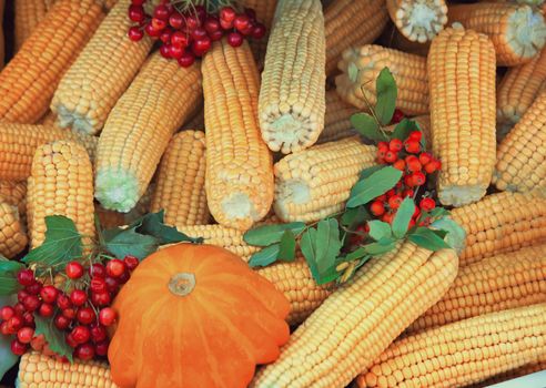 The storefront demonstrate intended for sale at the fair, a variety of vegetables: squash, corn, berries of mountain ash.