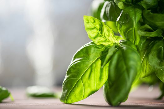 Fresh organic basil leaves on a wooden table