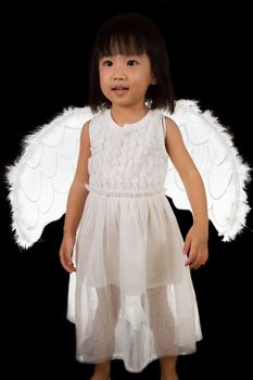 Asian Chinese Little Angel in black background studio shot.