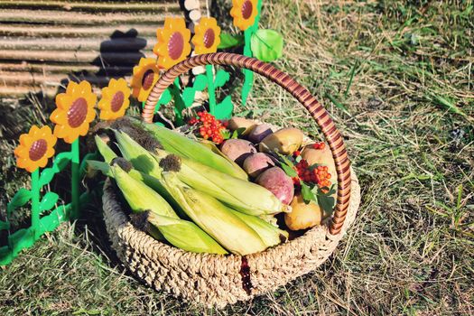 In a beautifully decorated wicker basket sold at the fair crop of fruit and vegetables : potatoes, corn, berries of mountain ash.