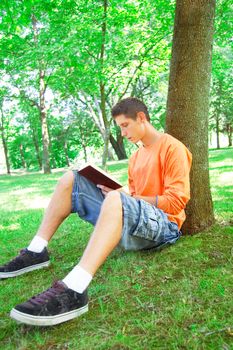 Education conceptual image. Teenager reading a book outdoors.