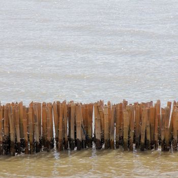 The bamboo block to prevent coastal erosion, wave