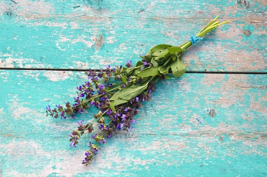 beautiful medical herb sage (Salvia officinalis) bunch on old wooden background