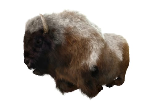 3D digital render of an American bison resting isolated on white background