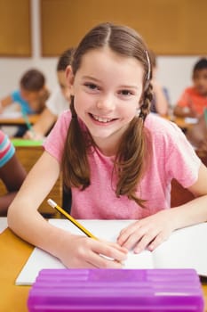 Little girl smiling at camera in class at the elementary school