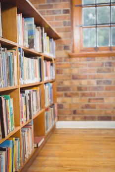 Four Shelves full of books at the elementary school