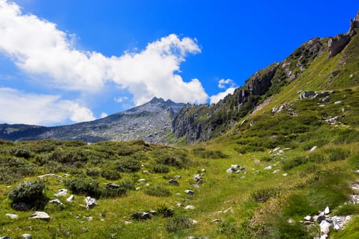 Peak (Re di Castello) in the National Park of Adamello Brenta. Trentino Alto Adige and Lombardia, Italy