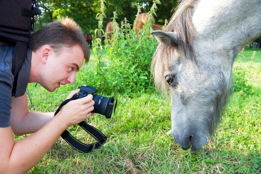 Photographer at work take a picture of horse.