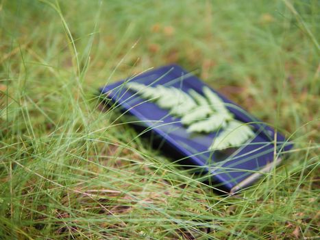 Daydream conceptualisation, dreamy still life with out-of-focus black notebook lying in grass, fern leaf attached