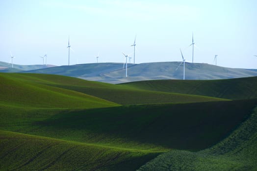 wind mill on green wheat farm hill in palouse, washington