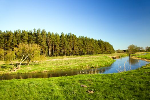 a small river in the summer. Belarus