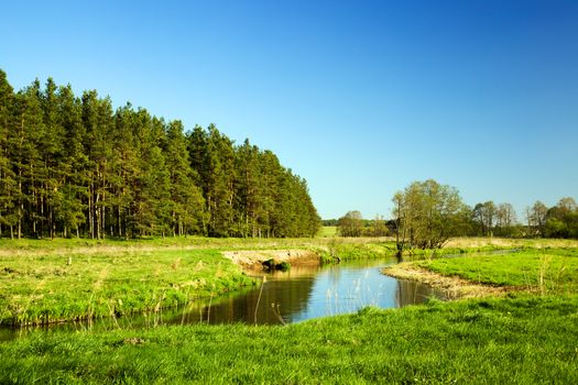 a small river in the summer. Belarus