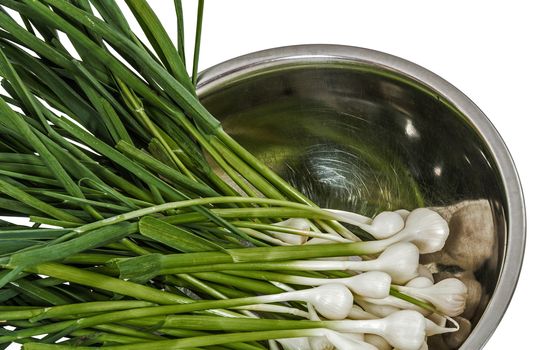 Tuft of raw garlic for cooking, isolated on white background