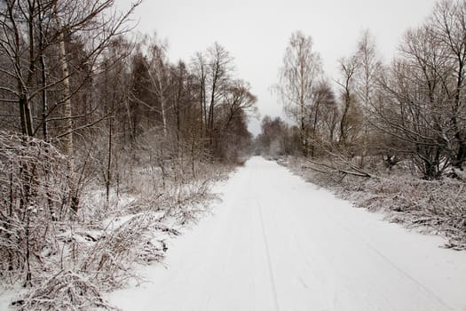 the road photographed in a winter season