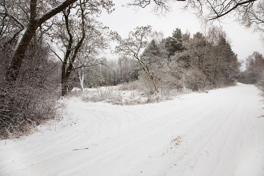 the road photographed in a winter season