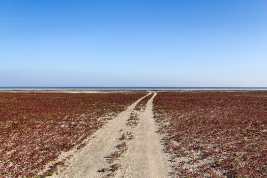 The steppe road to the sea