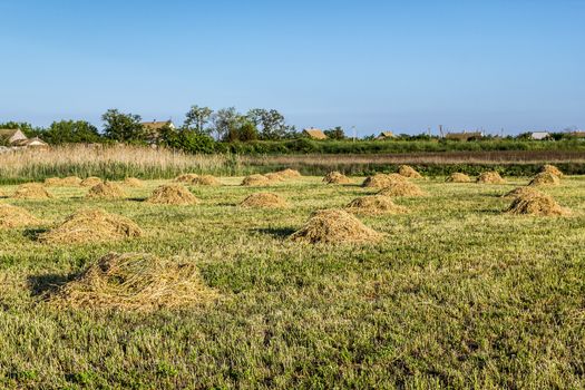 Agricultural landscape with ricks of hay