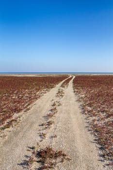 The steppe road to the sea