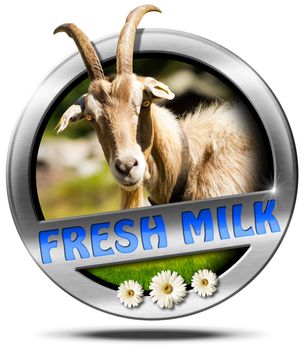 Metallic round icon or symbol with head of goat with horns, text fresh milk and three daisy flowers. Isolated on white background