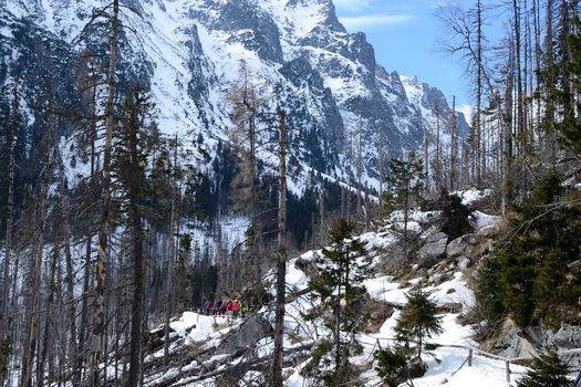 High Tatra Mountains in Slovakia